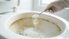 Ein einfacher Abendtrick, der Gerüche und Beläge im Badezimmer beseitigt