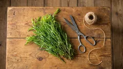 Dieses aromatische Kraut verändert den Geschmack eines Gerichts grundlegend – wird jedoch häufig falsch verwendet.